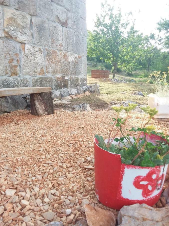 Holiday Home Jadric Osoje Ngoại thất bức ảnh
